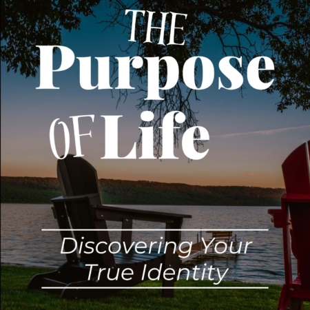 The Purpose of Life-Cover-